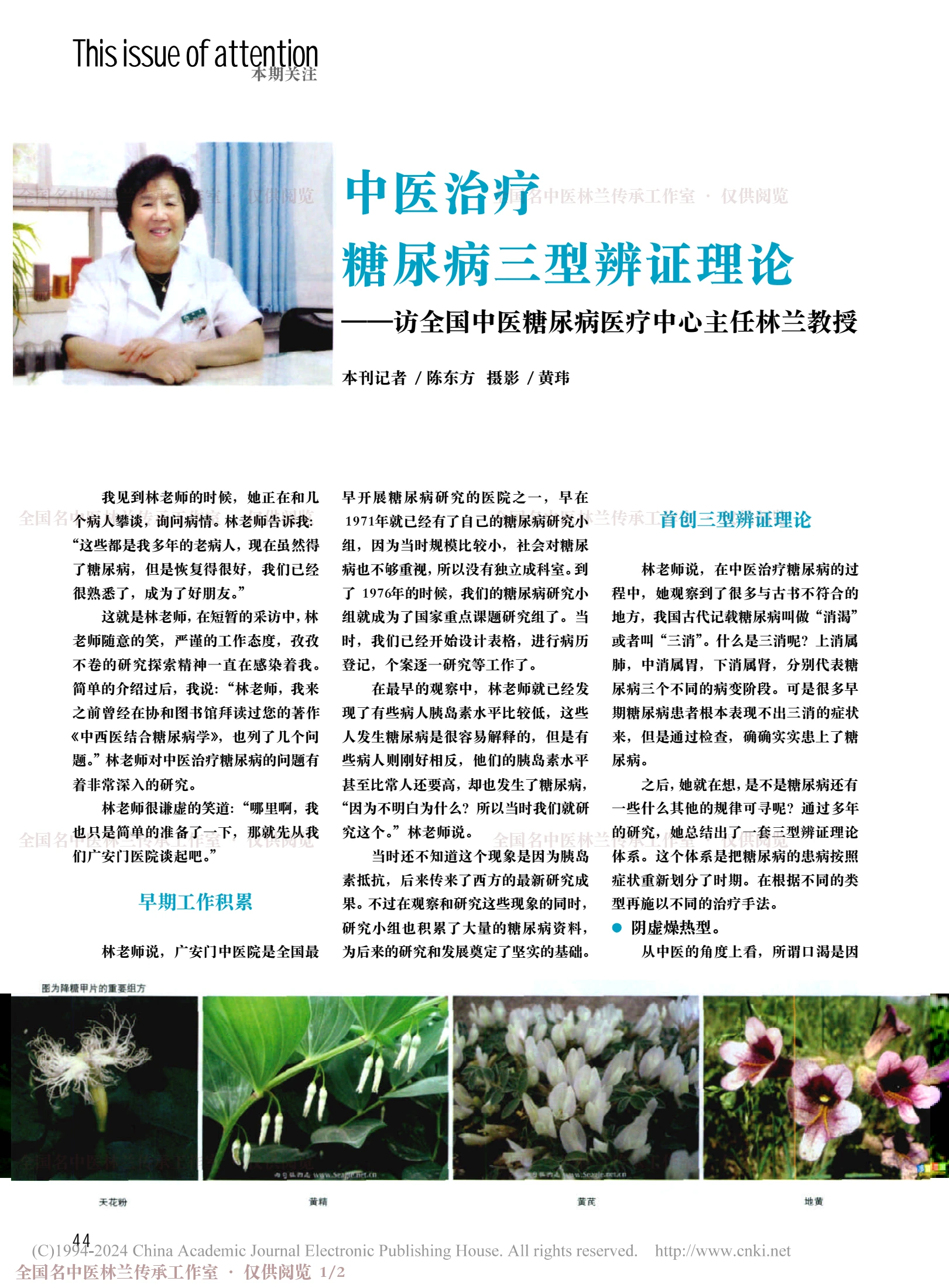 中医治疗糖尿病三型辨证理论——访全国中医糖尿病医疗中心主任林兰教授，第 1 页